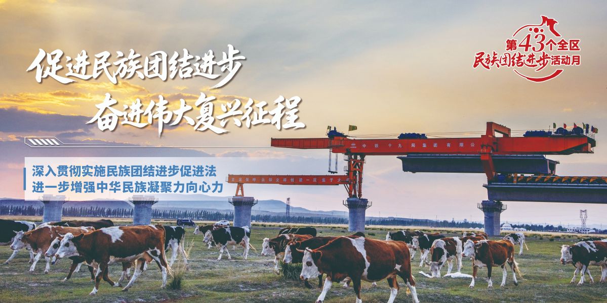 促进民族团结海报