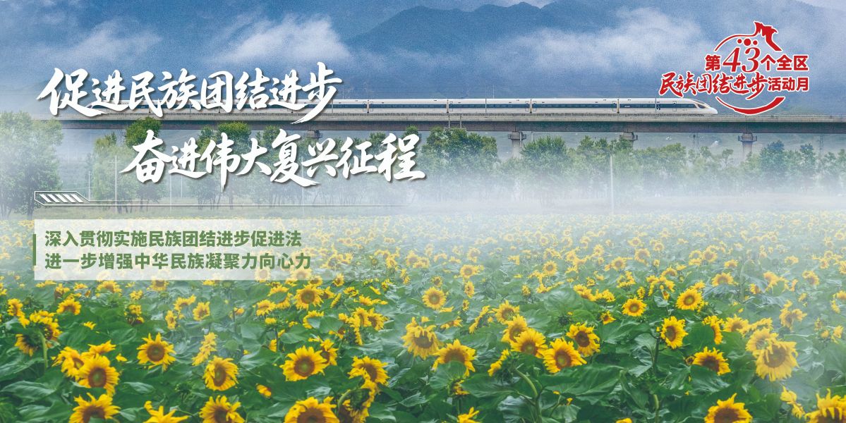 促进民族团结海报3