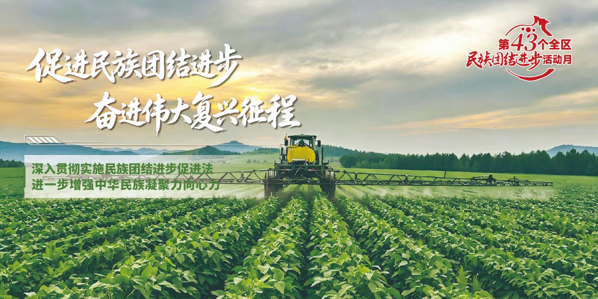 促进民族团结海报9