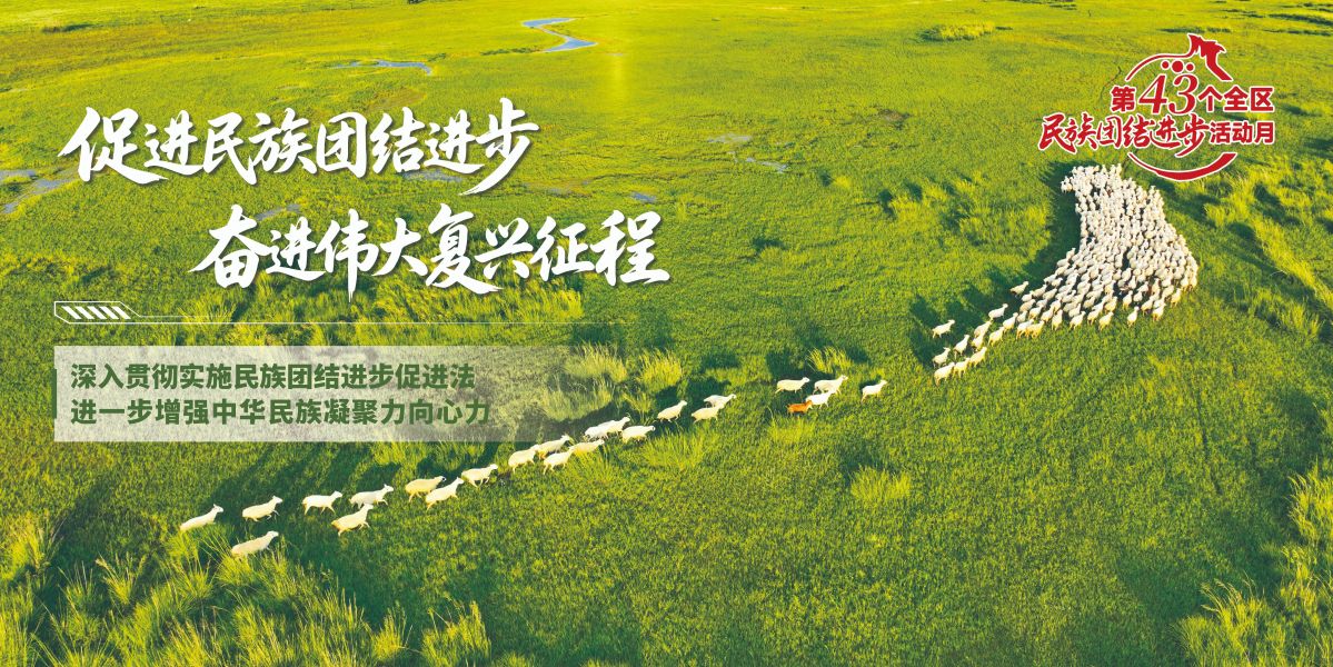 促进民族团结海报11