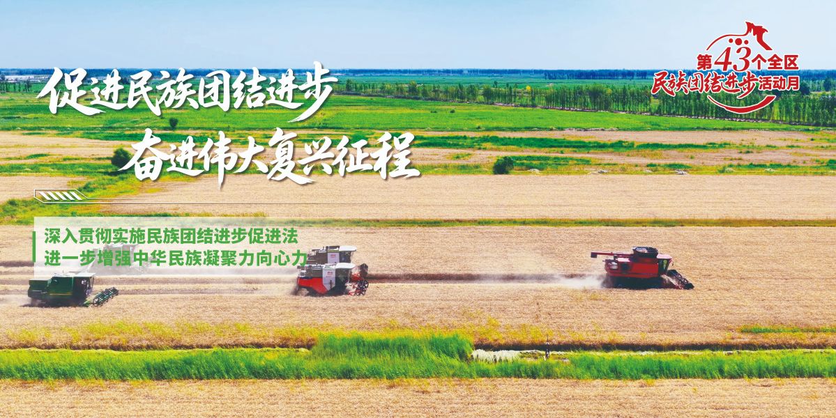 促进民族团结海报12
