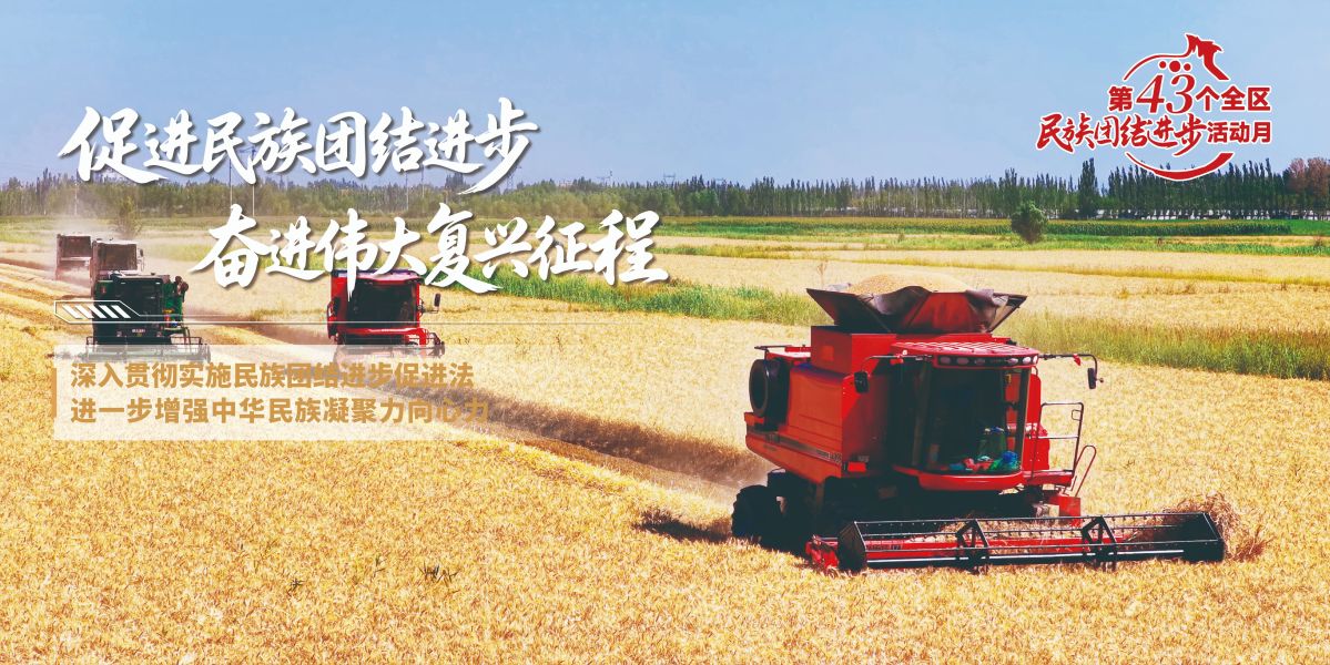 促进民族团结海报13