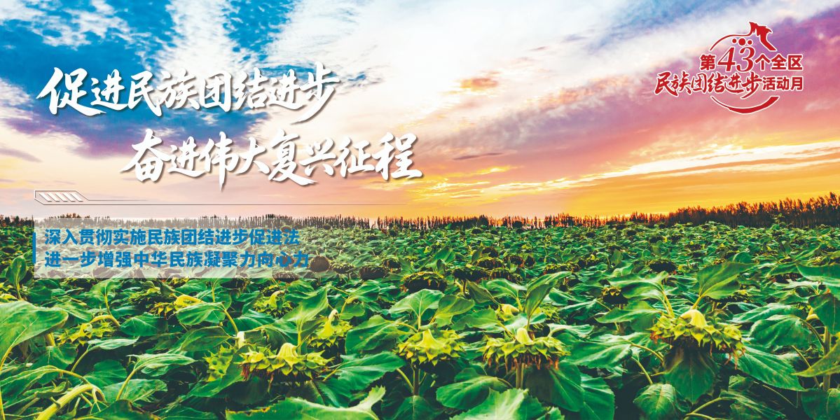 促进民族团结海报14