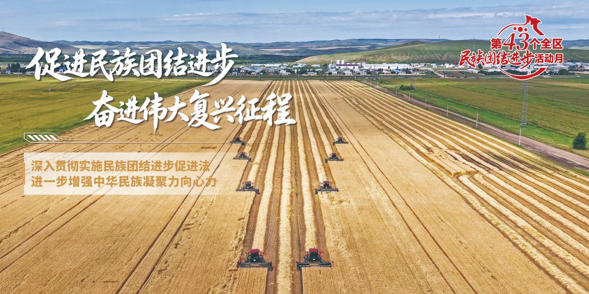 促进民族团结海报15