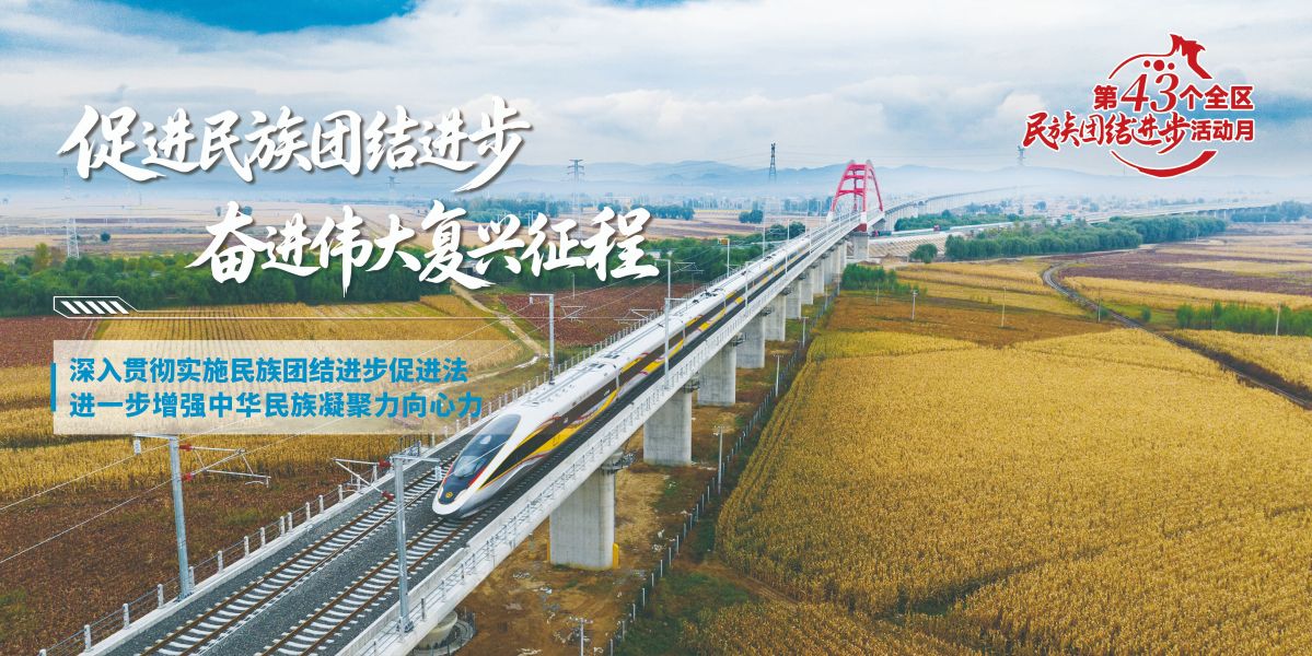 促进民族团结海报16
