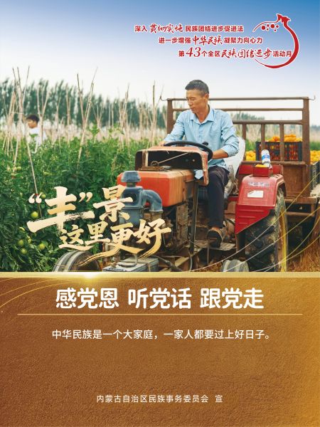 丰收海报6