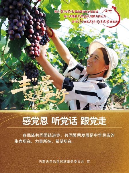 丰收海报8