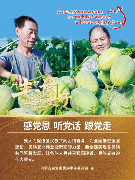 丰收海报11