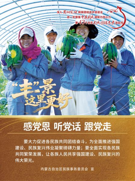 丰收海报12