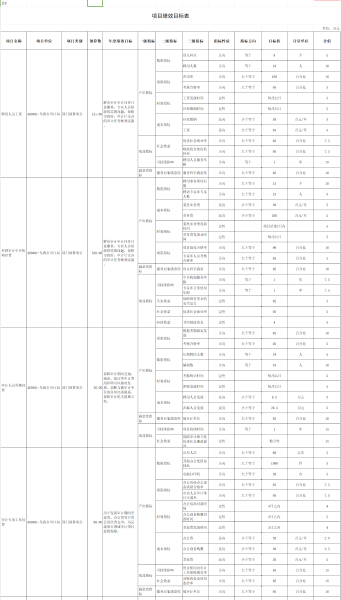 项目绩效目标表