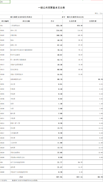 一般公共预算基本支出表