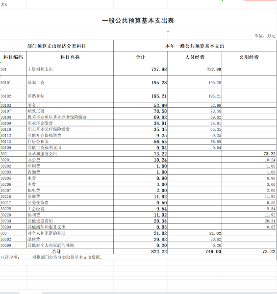 一般公共预算基本支出情况表