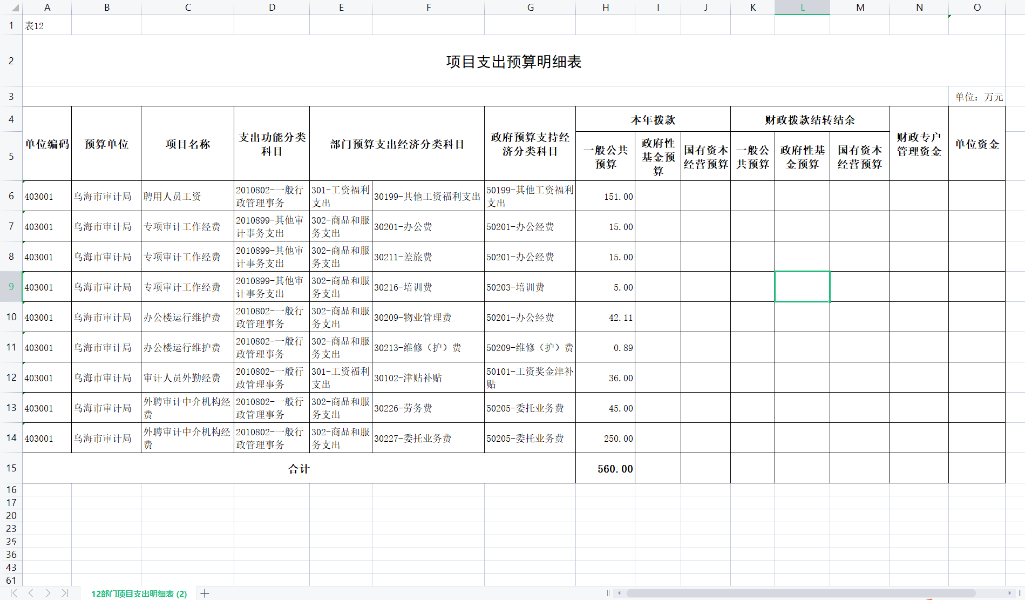 项目支出预算明细表