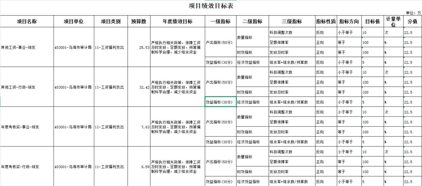 项目绩效目标表1