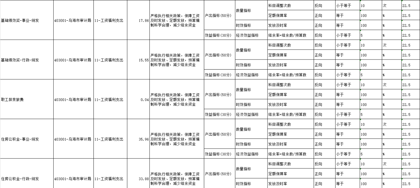 项目绩效目标表2
