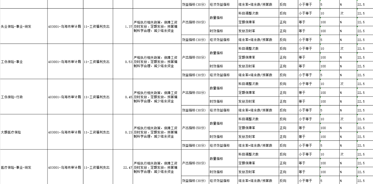 项目绩效目标表3