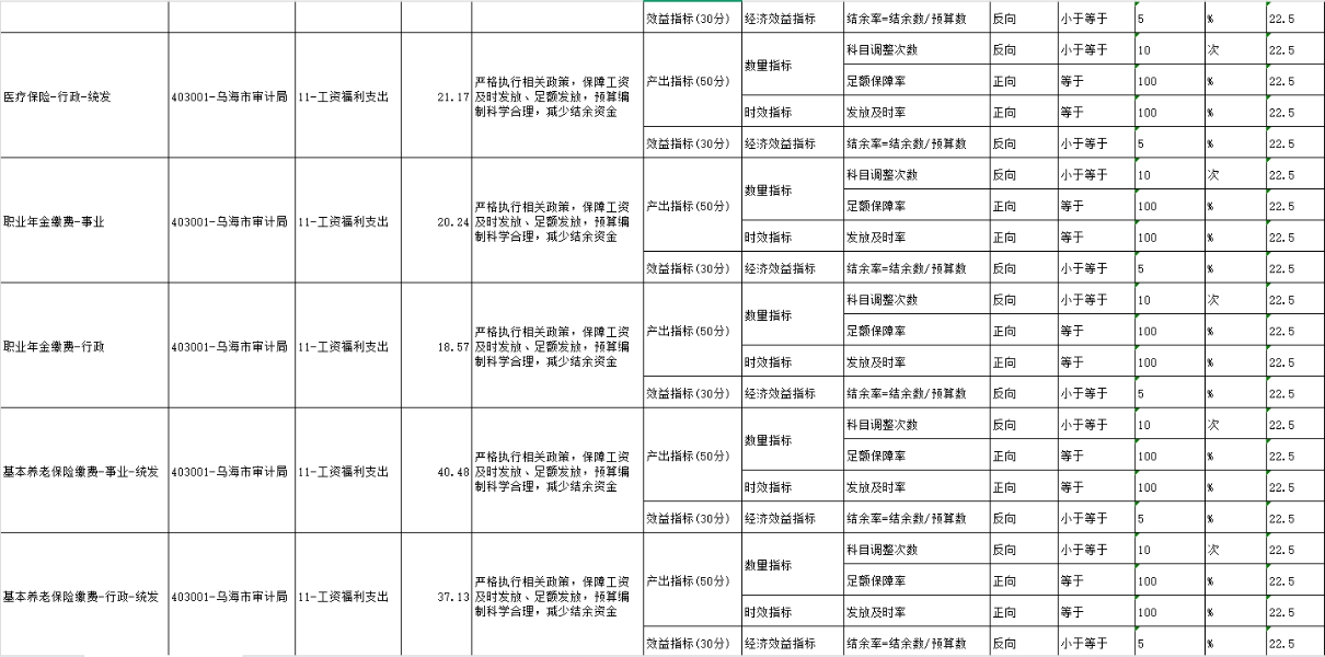 项目绩效目标表4