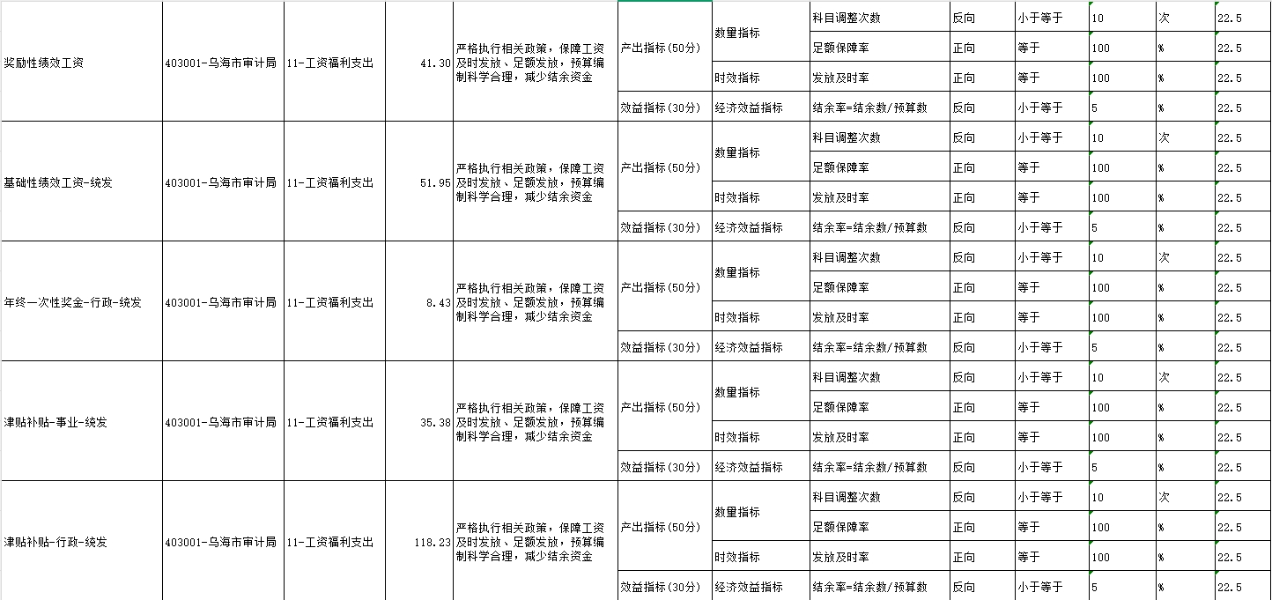 项目绩效目标表5