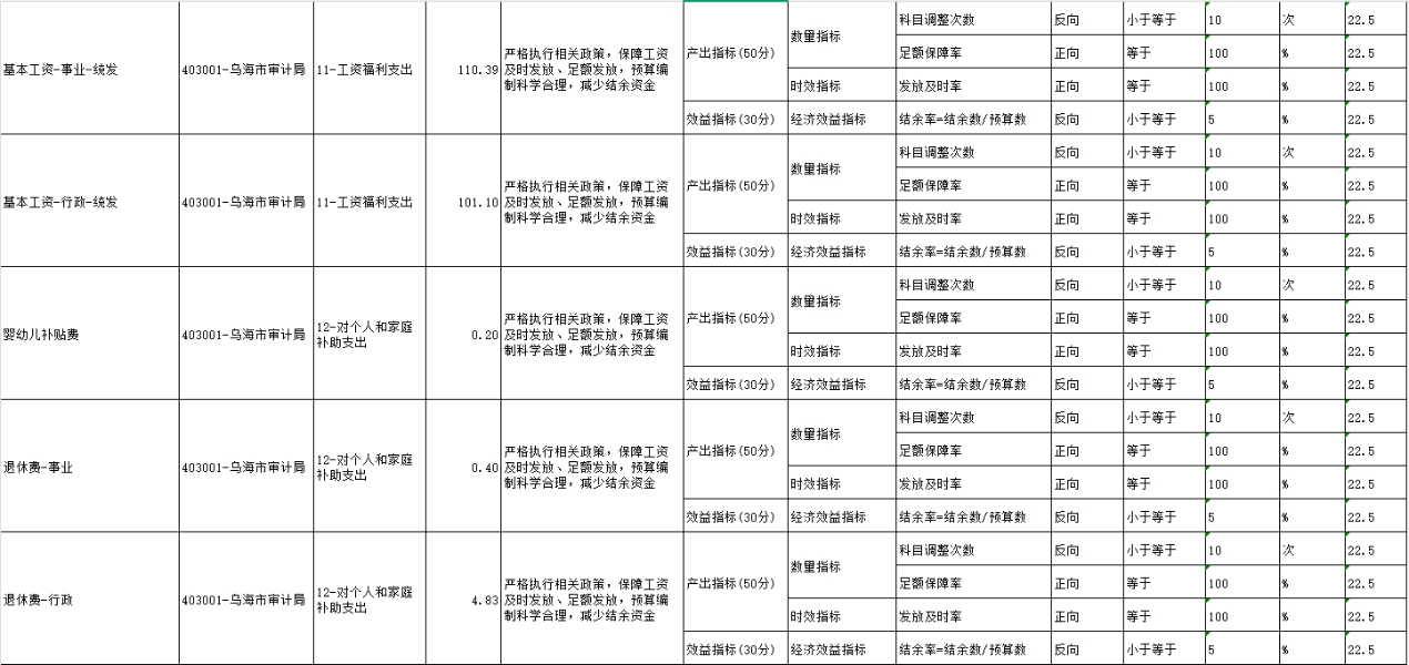 项目绩效目标表6