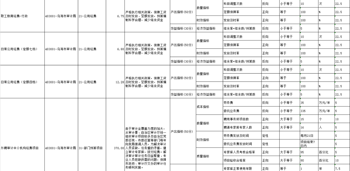 项目绩效目标表9