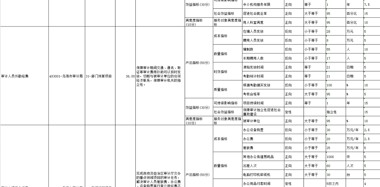 项目绩效目标表10