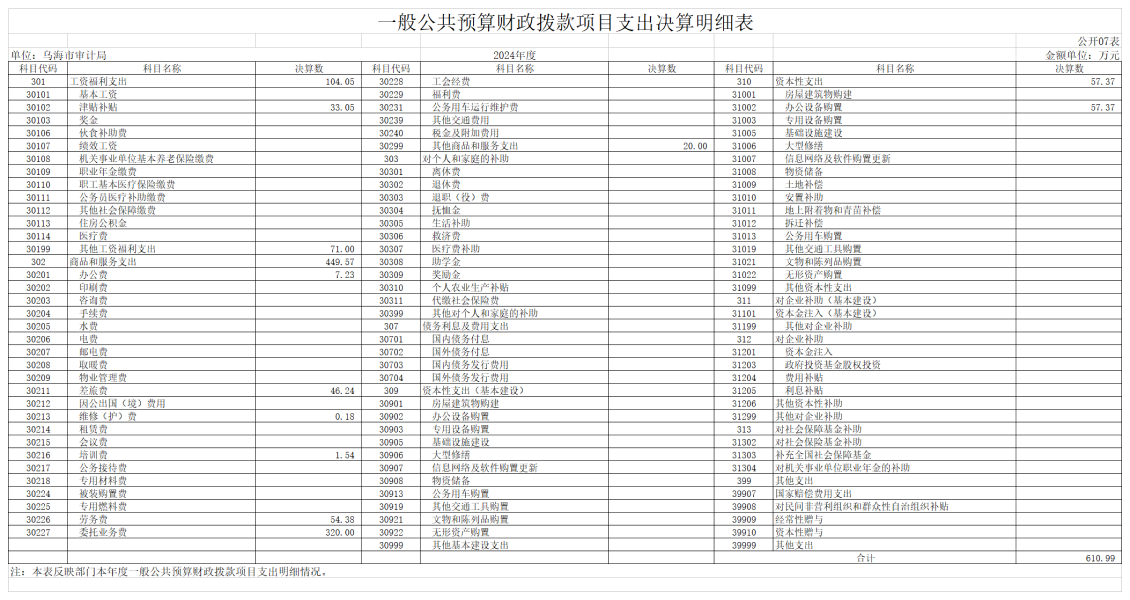 GK07-一般公共预算财政拨款项目支出决算明细表_01